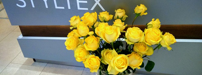 Žluté růže pro radost ve studiu Styltex